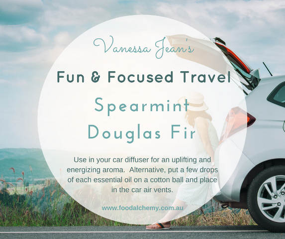 Vanessa Jean's Fun & Focused travel blend with Spearmint, Douglas Fir essential oils