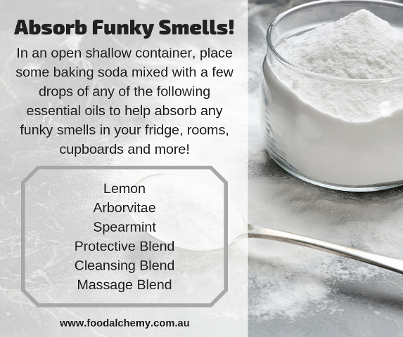 Absorb Funky Smells! essential oil reference: Lemon, Arborvitae, Spearmint, Protective Blend, Cleansing Blend, Massage Blend