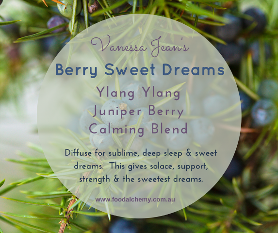 Berry Sweet Dreams essential oil reference: Ylang Ylang, Juniper Berry, Calming Blend