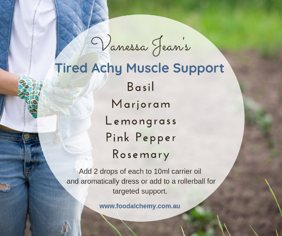 Tired Achy Muscle Support essential oil reference: Basil, Marjoram, Lemongrass, Pink Pepper, Rosemary.