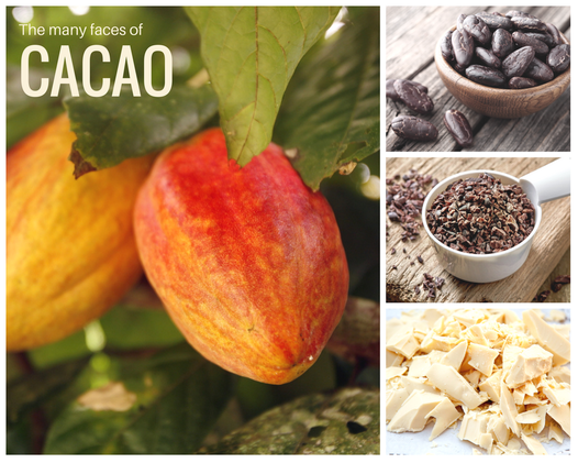 The many faces of cacao